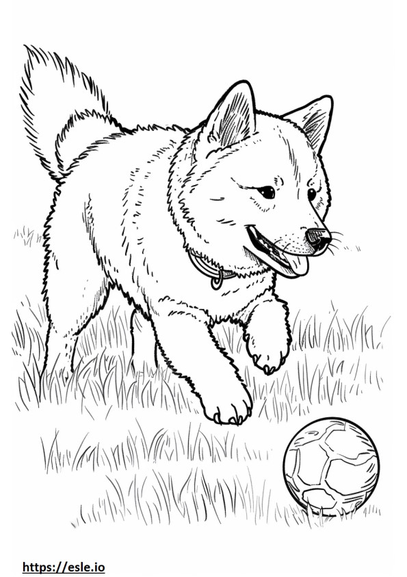 Akita-Schäferhund spielt ausmalbild