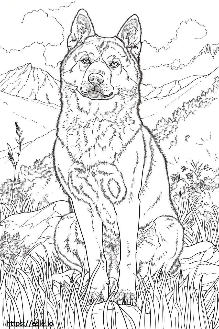 Akita-Schäferhund freundlich ausmalbild