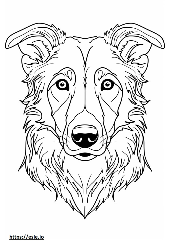 Gesicht des Alabai (Zentralasiatischer Schäferhund). ausmalbild