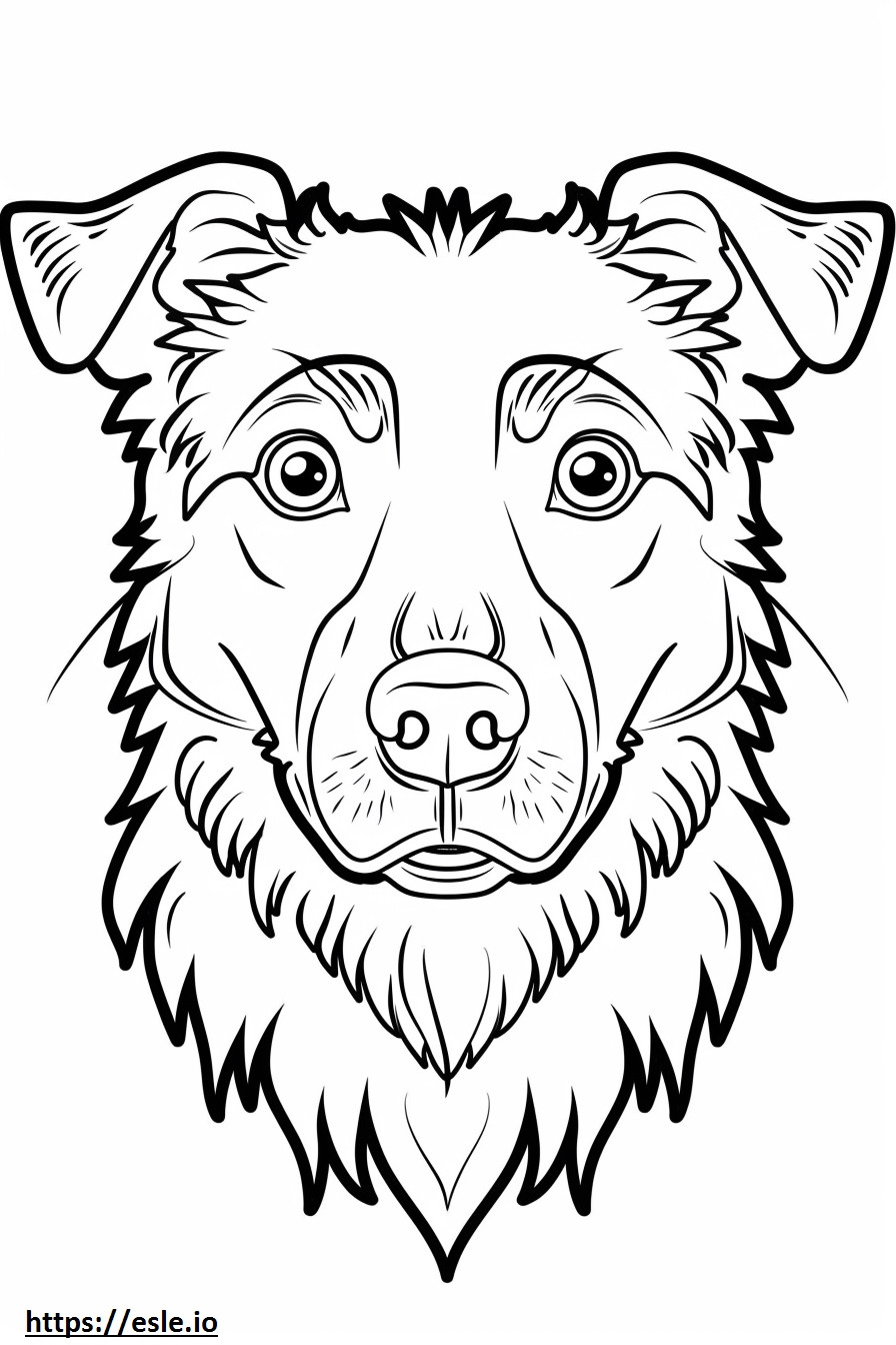 Alabai (Orta Asya Çoban Köpeği) yüzü boyama
