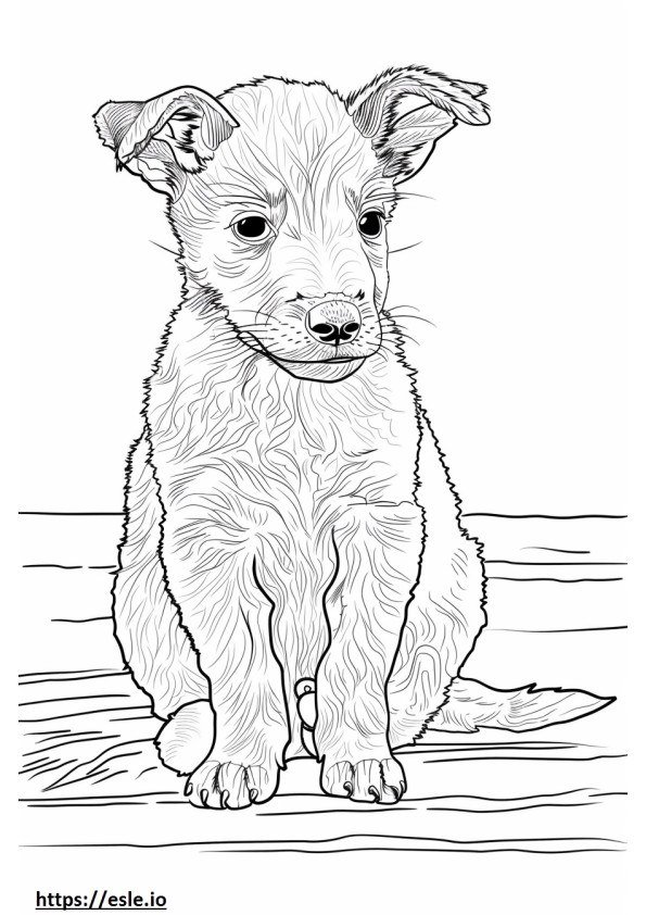 Alabai (Zentralasiatischer Schäferhund) Baby ausmalbild