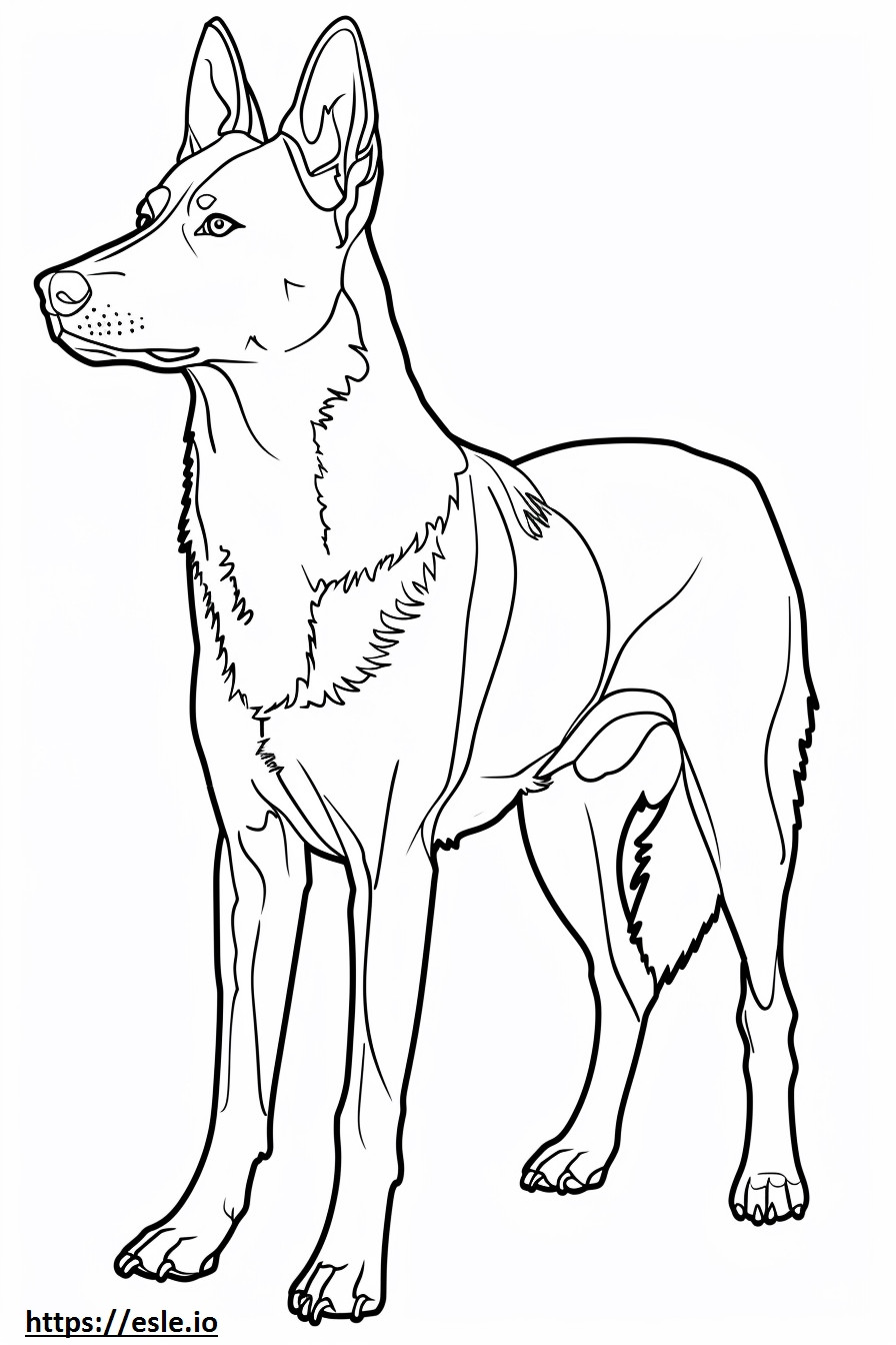 Cartoon des Alabai (Zentralasiatischer Schäferhund). ausmalbild