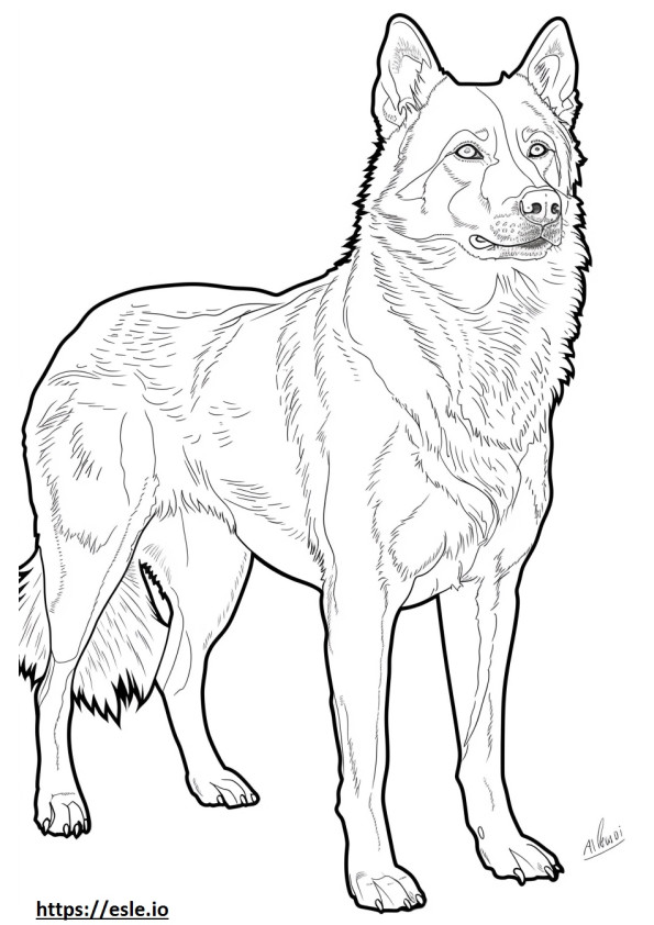 Alabai (Central Asian Shepherd) cute coloring page