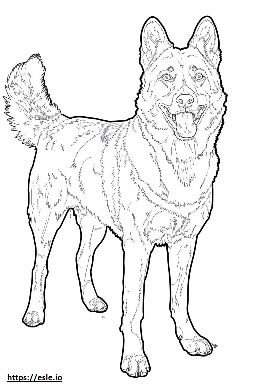 Alabai (Zentralasiatischer Schäferhund) glücklich ausmalbild