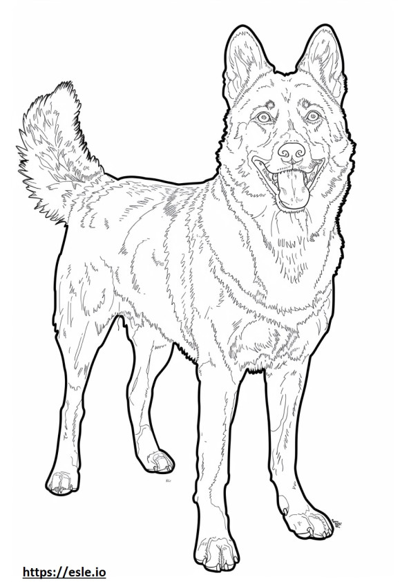 Alabai (Central Asian Shepherd) happy coloring page