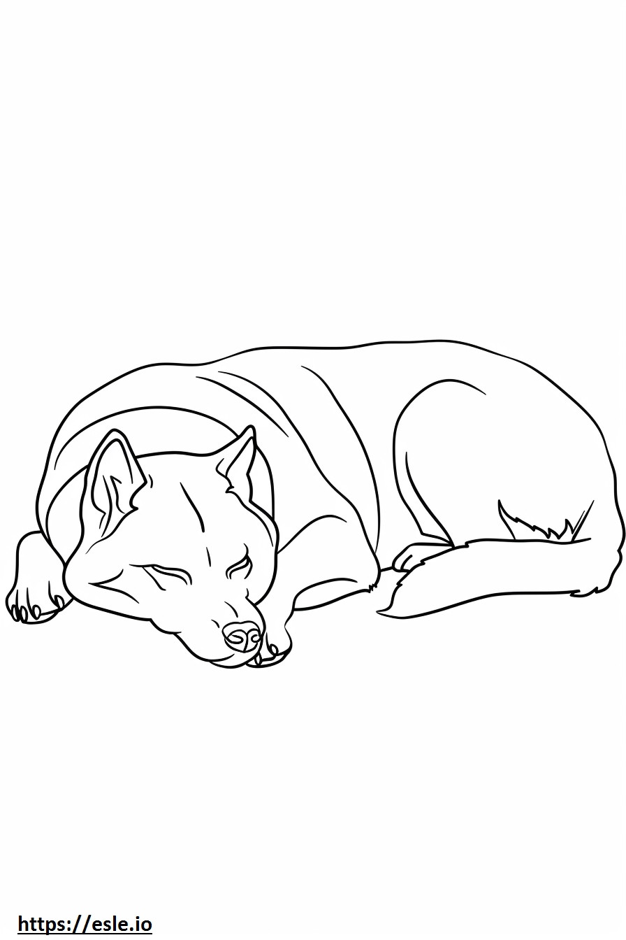 Alabai (Central Asian Shepherd) Sleeping coloring page