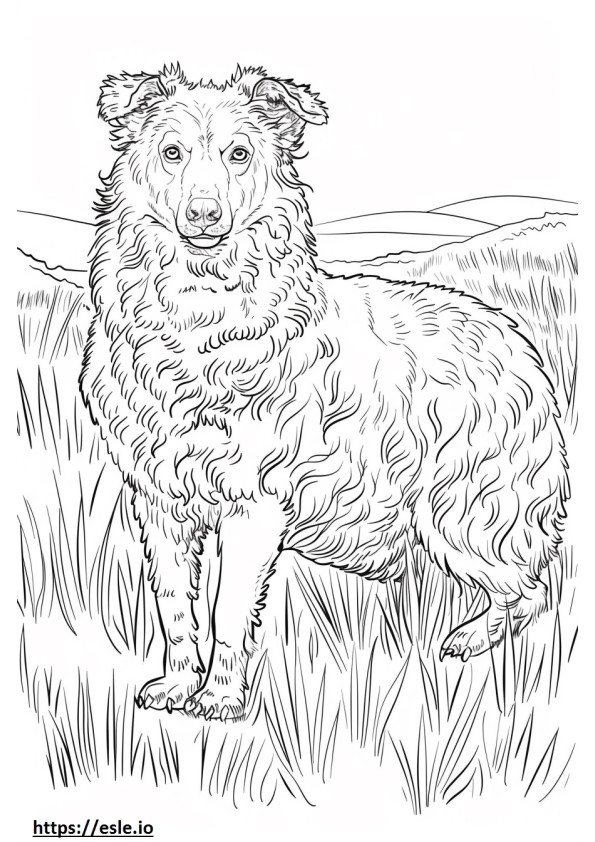 Alabai (Orta Asya Çoban Köpeği) Oynuyor boyama
