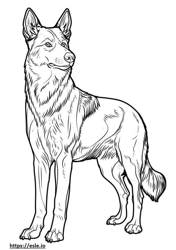 Alabai (Orta Asya Çoban Köpeği) Dostu boyama