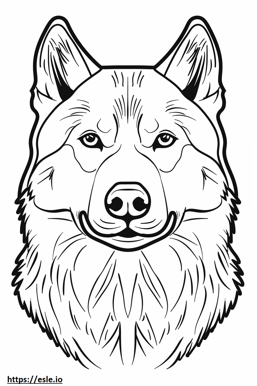 Alaskan Husky face coloring page