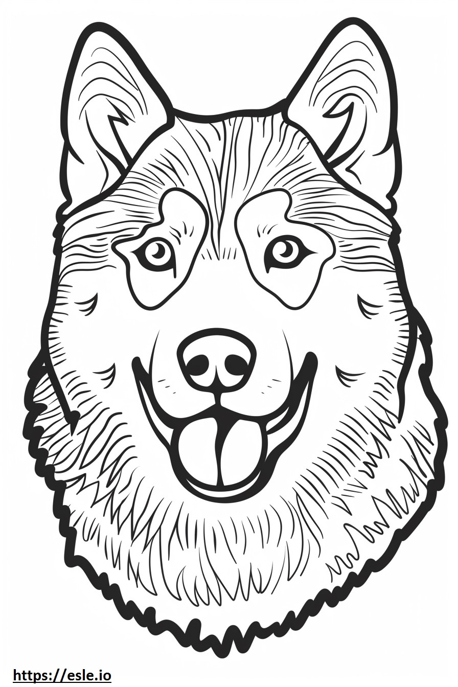 Alaskan Husky-gezicht kleurplaat kleurplaat