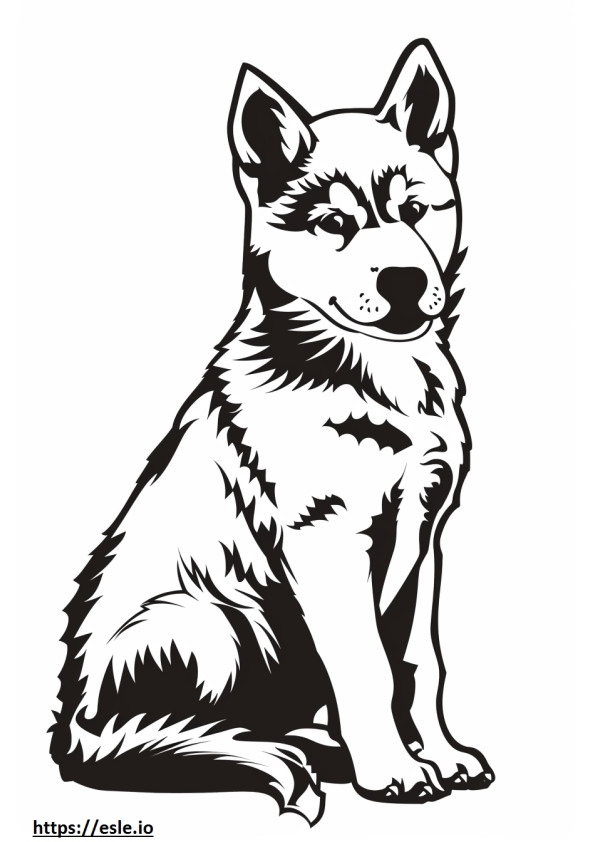 Coloriage Bébé Husky d'Alaska à imprimer