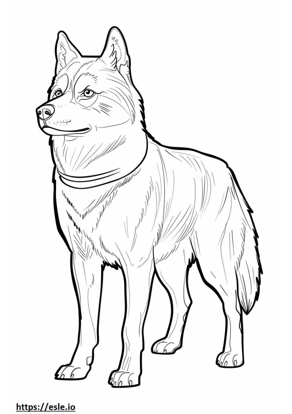 Desenho animado do Husky do Alasca para colorir