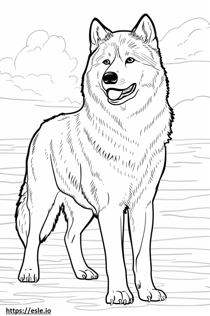 Coloriage Caricature de Husky d'Alaska à imprimer
