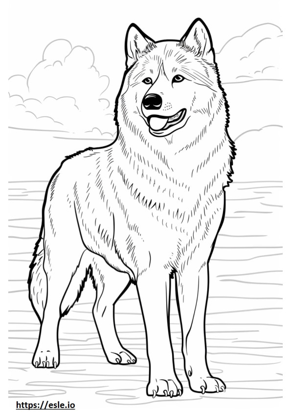 Kartun Husky Alaska gambar mewarnai