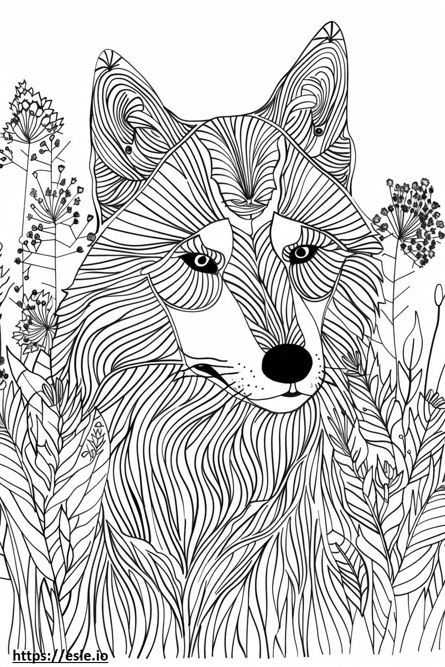 Alaskan Husky cute coloring page
