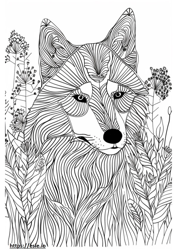 Alaskan Husky cute coloring page