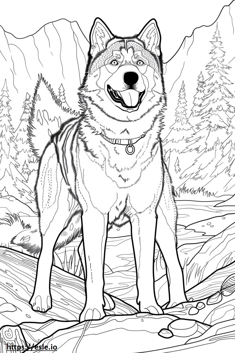 Alaskan Husky happy coloring page
