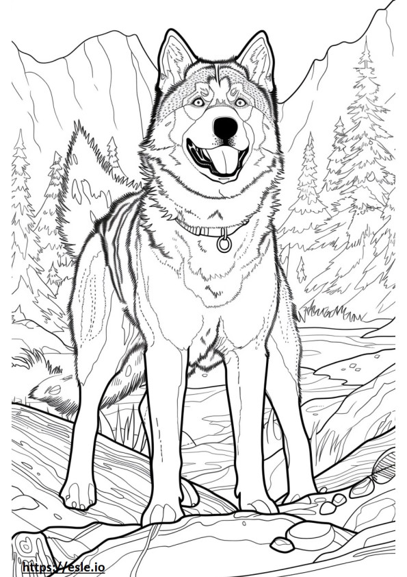 Coloriage Husky d'Alaska heureux à imprimer