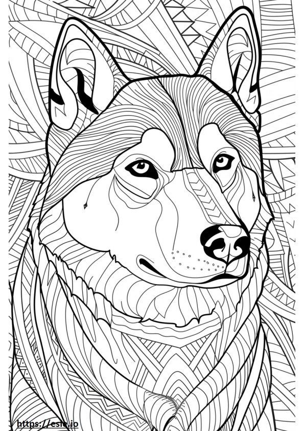 Coloriage Husky d'Alaska heureux à imprimer