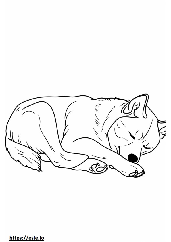 Husky Alaska sedang tidur gambar mewarnai