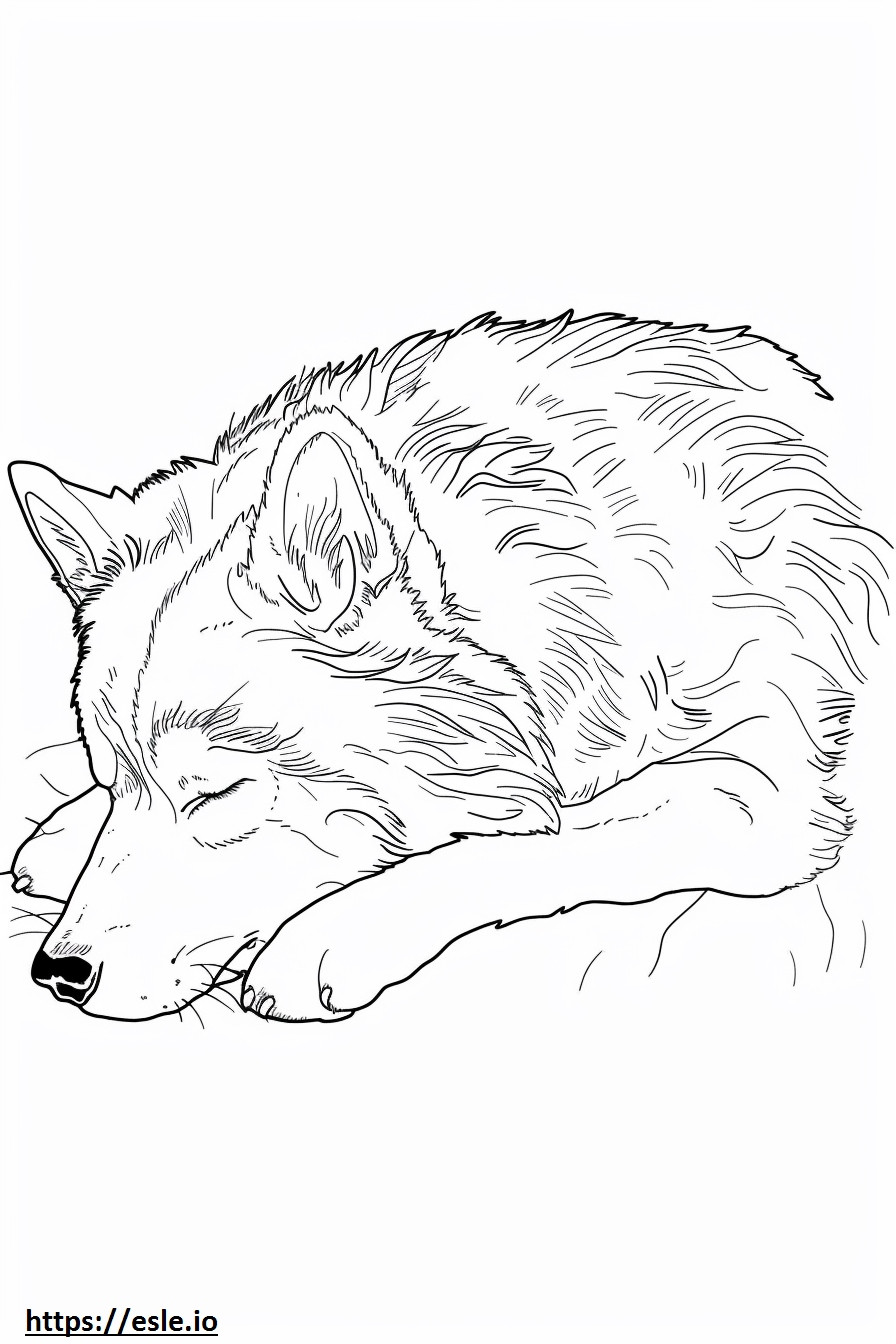 睡眠中のアラスカン ハスキー ぬりえ - 塗り絵