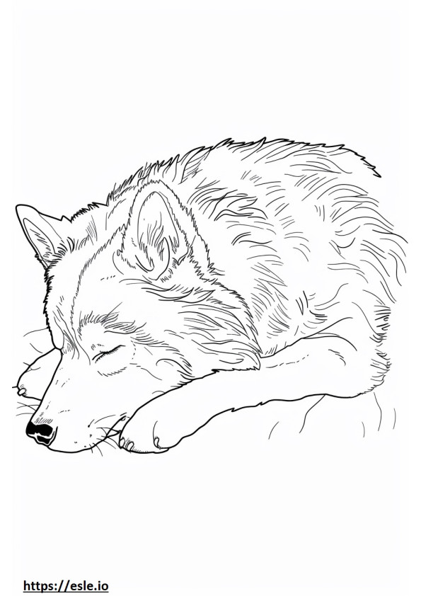 Alaskan Husky slaapt kleurplaat