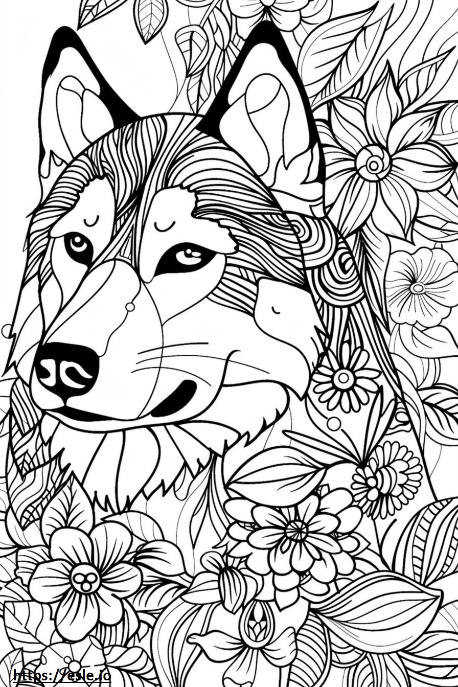 Husky do Alasca Kawaii para colorir