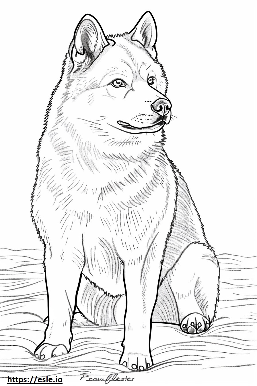 Coloriage Amical pour les Husky d'Alaska à imprimer