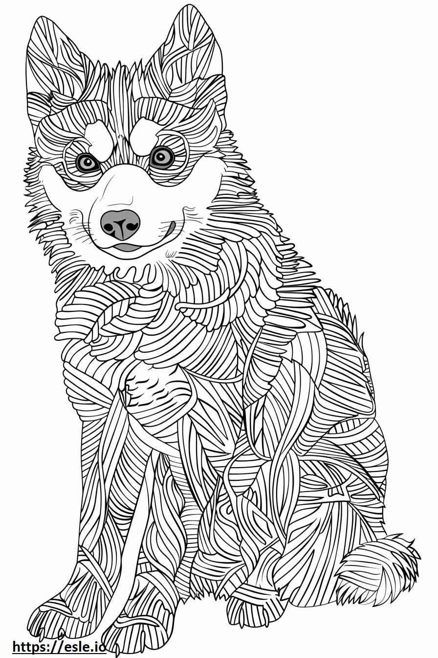 Alaskan Klee Kai cuerpo completo para colorear e imprimir
