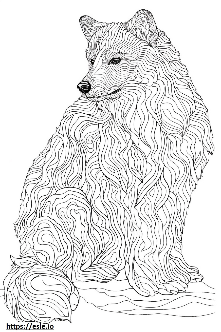 Corpo inteiro de Klee Kai do Alasca para colorir