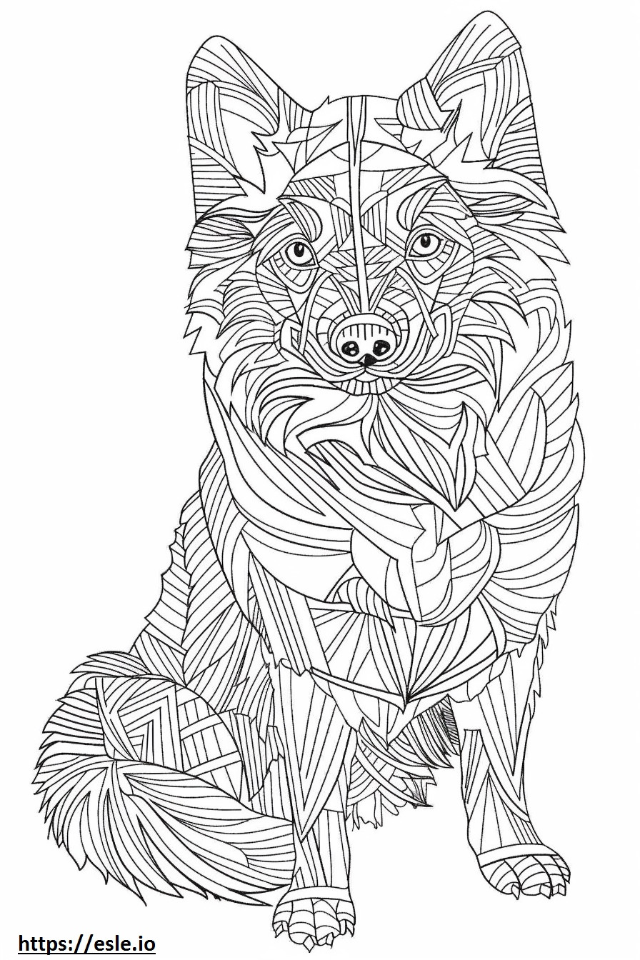 Alaskan Klee Kai full body coloring page
