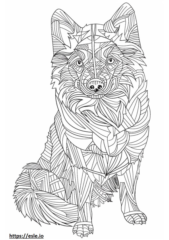 Alaskan Klee Kai full body coloring page