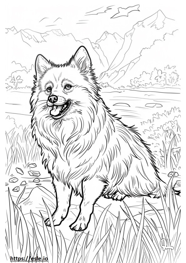Alaskan Klee Kai happy coloring page