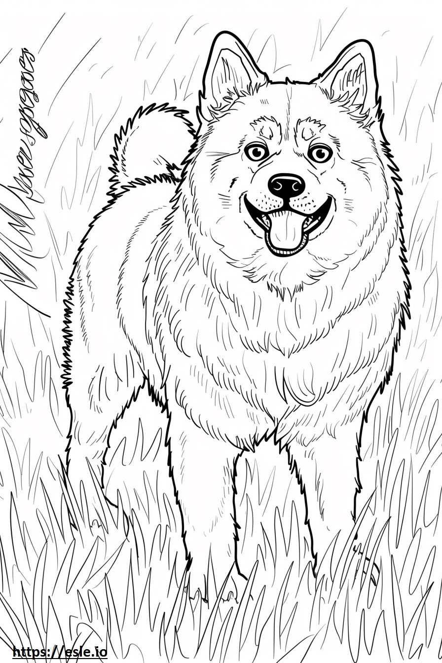 Alaskan Klee Kai happy coloring page