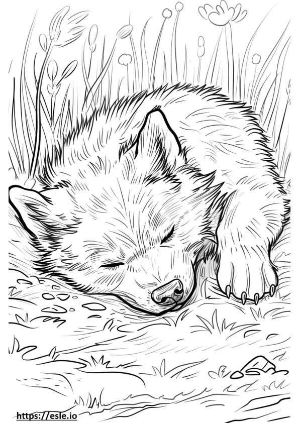 Klee Kai de Alaska durmiendo para colorear e imprimir