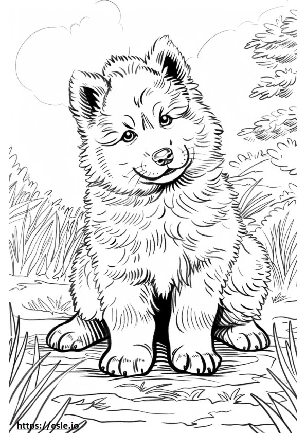 Bebé malamute de Alaska para colorear e imprimir