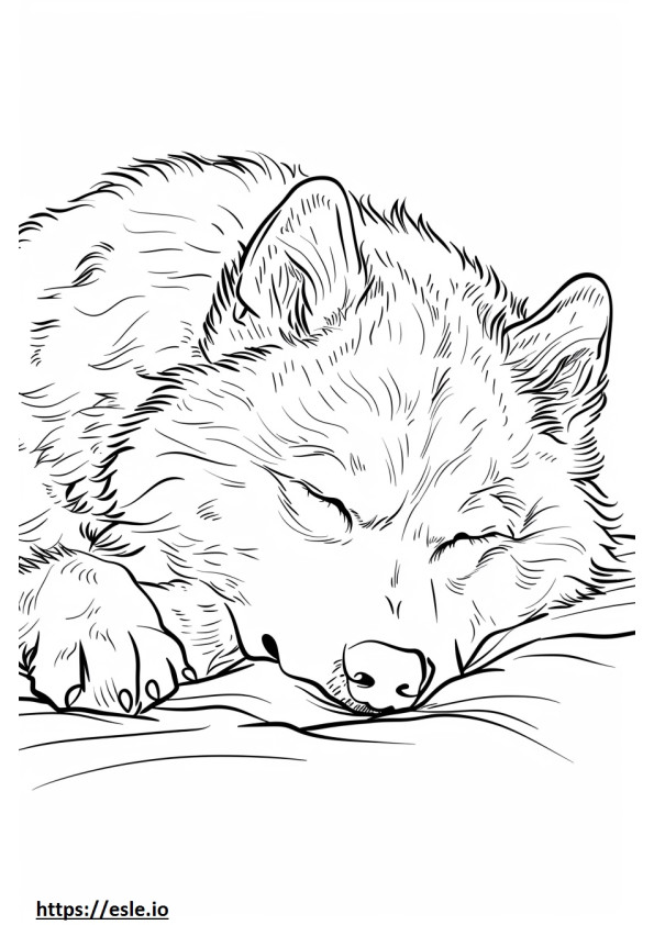 Schlafender Alaskan Malamute ausmalbild
