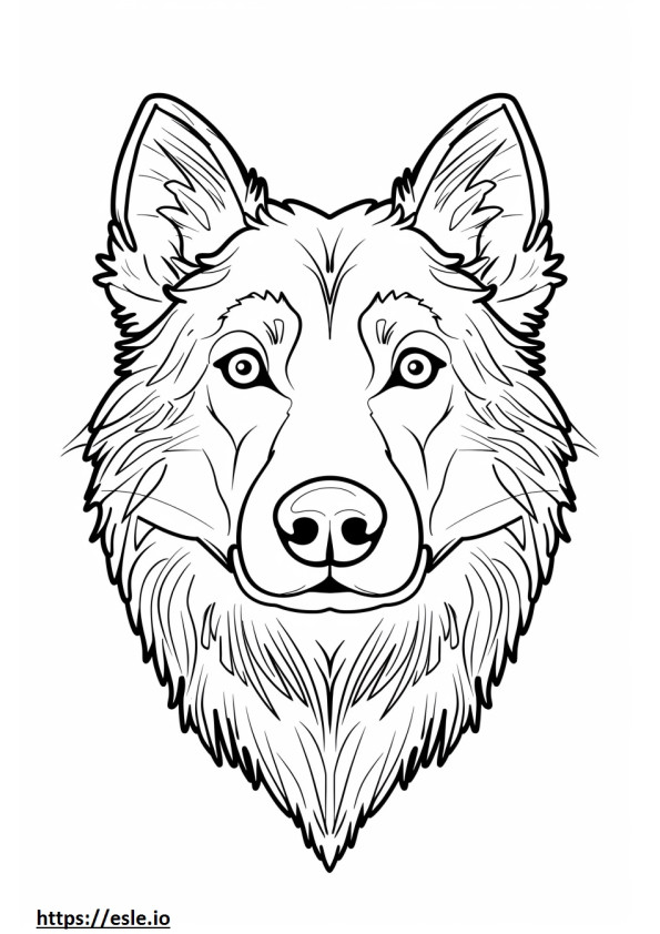 Alaskan Shepherd face coloring page