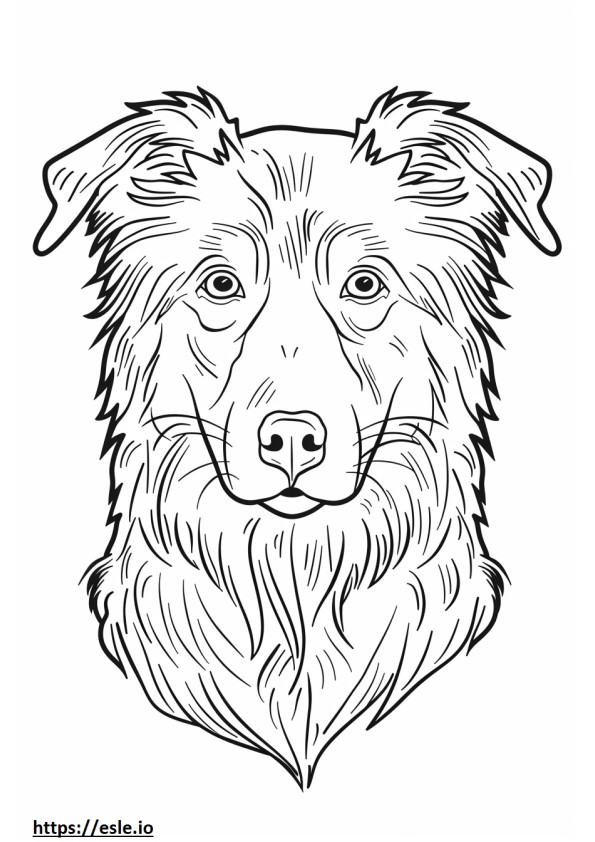 Alaskan Shepherd face coloring page