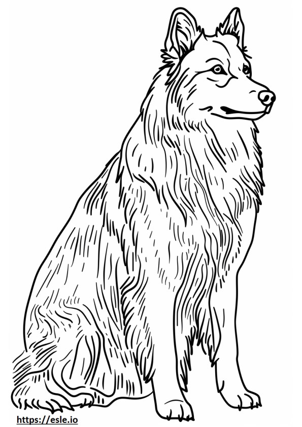 Ganzkörper-Alaskan-Schäferhund ausmalbild