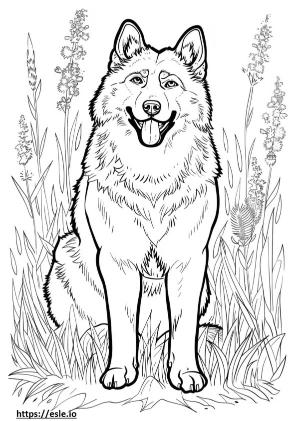Alaskan Shepherd happy coloring page