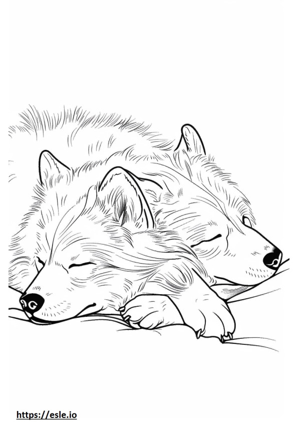 Alaszkai juhászkutya alszik szinező