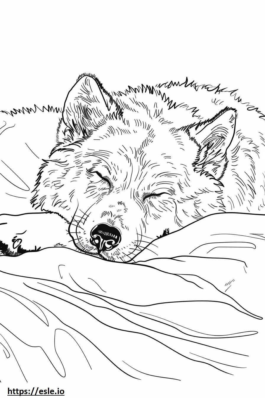 Schlafender Alaskan Shepherd ausmalbild