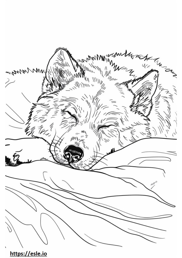 眠るアラスカン・シェパード ぬりえ - 塗り絵