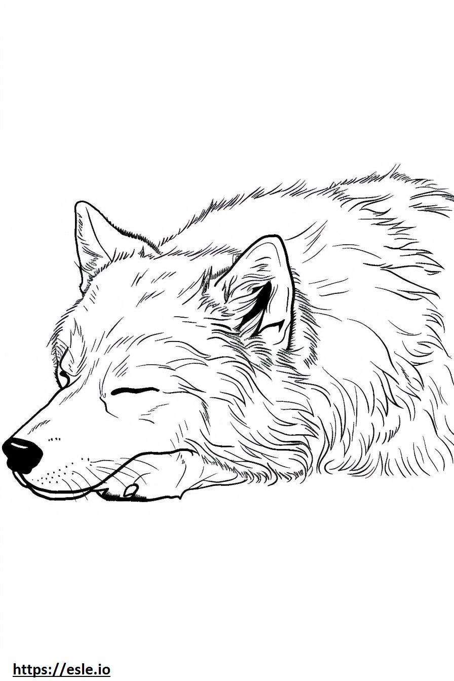 Uyuyan Alaska Çoban Köpeği boyama
