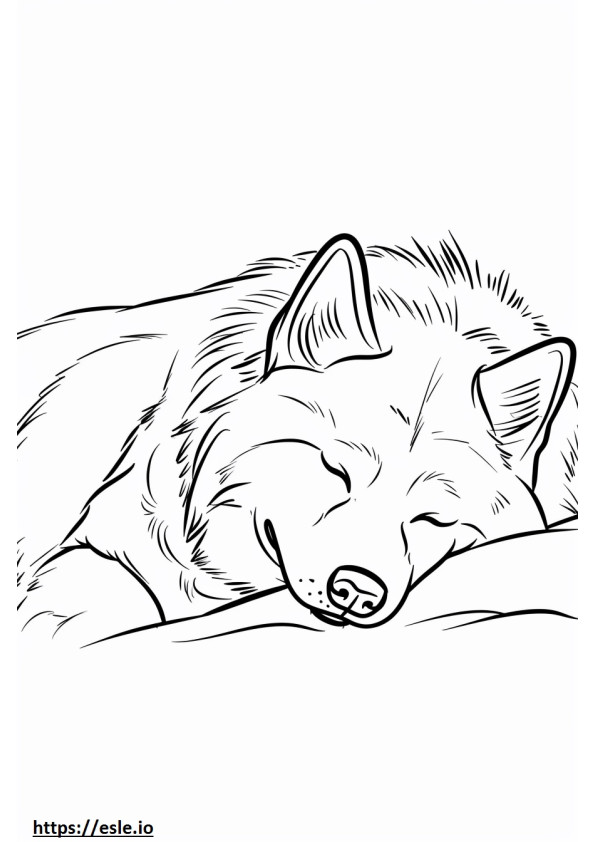 Schlafender Alaskan Shepherd ausmalbild