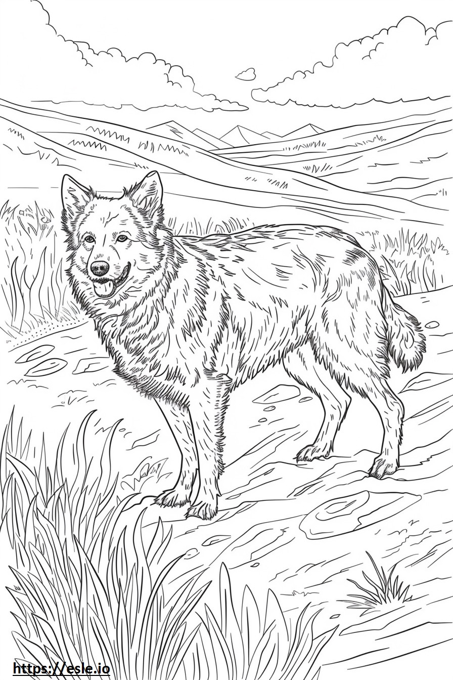 Spielender Alaskan Shepherd ausmalbild