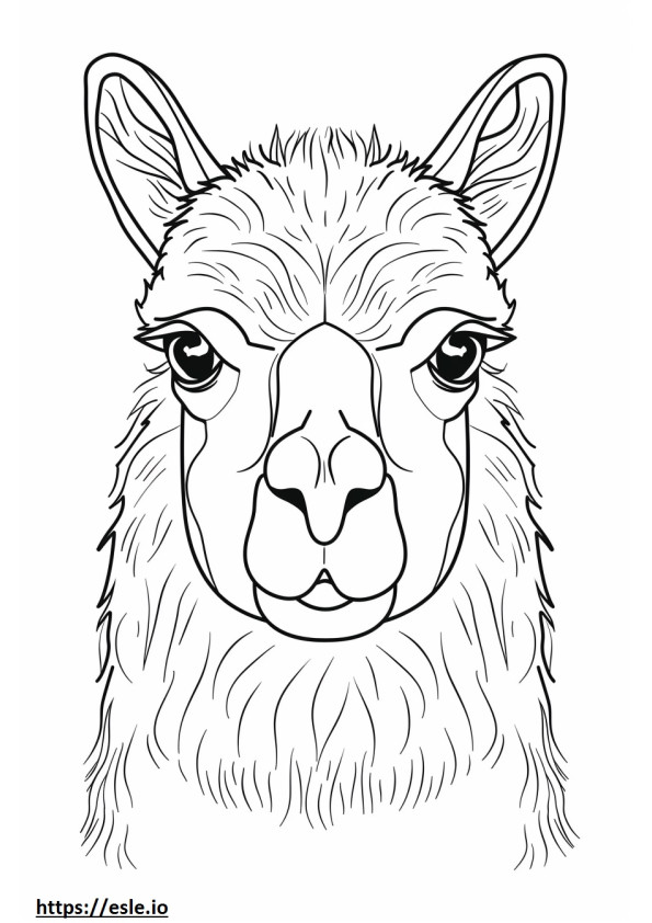 Cara de alpaca para colorir