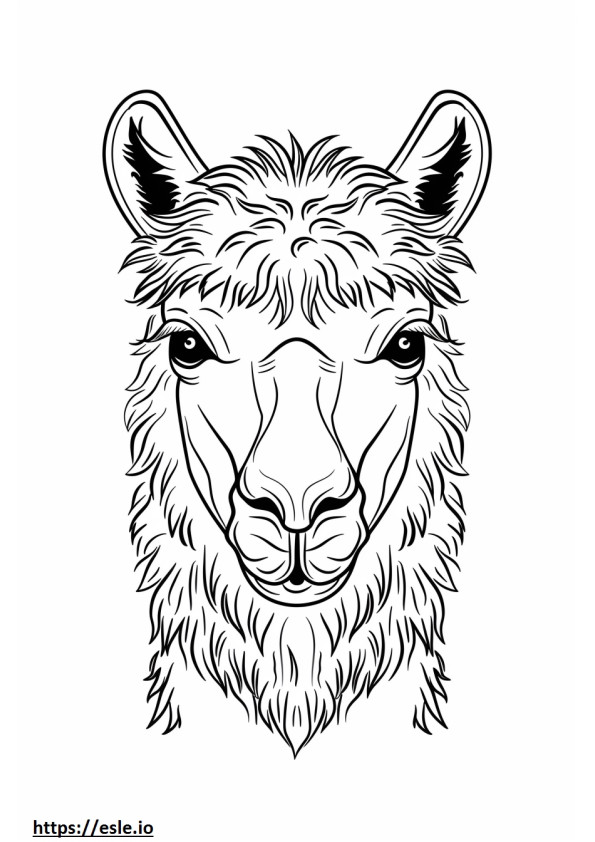Alpaca-gezicht kleurplaat