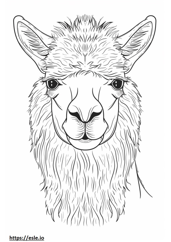 Față de alpaca de colorat